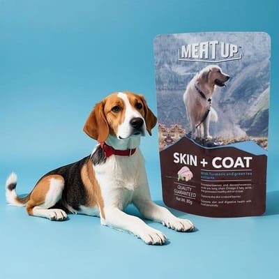 1,dog wet food pouch